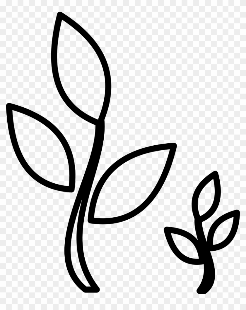 Png File - Line Art Clipart