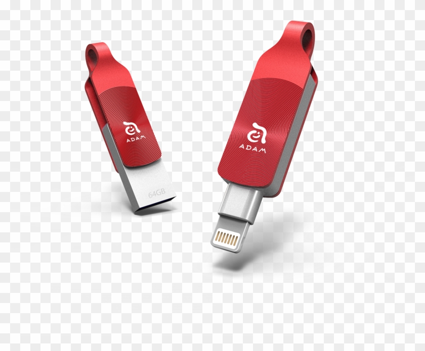 Adam Elements Dou+ Clipart