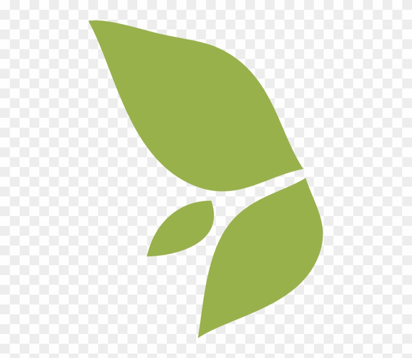 City Ma - Leaf Icon Png Clipart