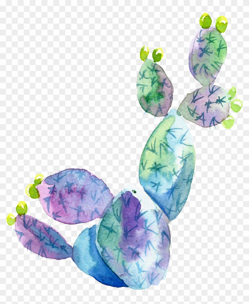 Purple Blue Watercolor Hand Painted Cactus Transparent - Illustration Clipart #776457