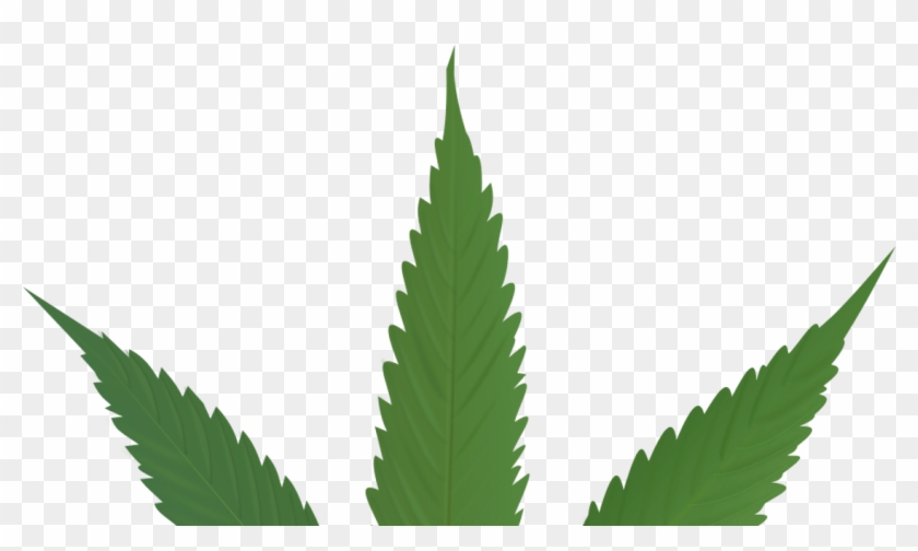 Cannabis Leaf Clipart