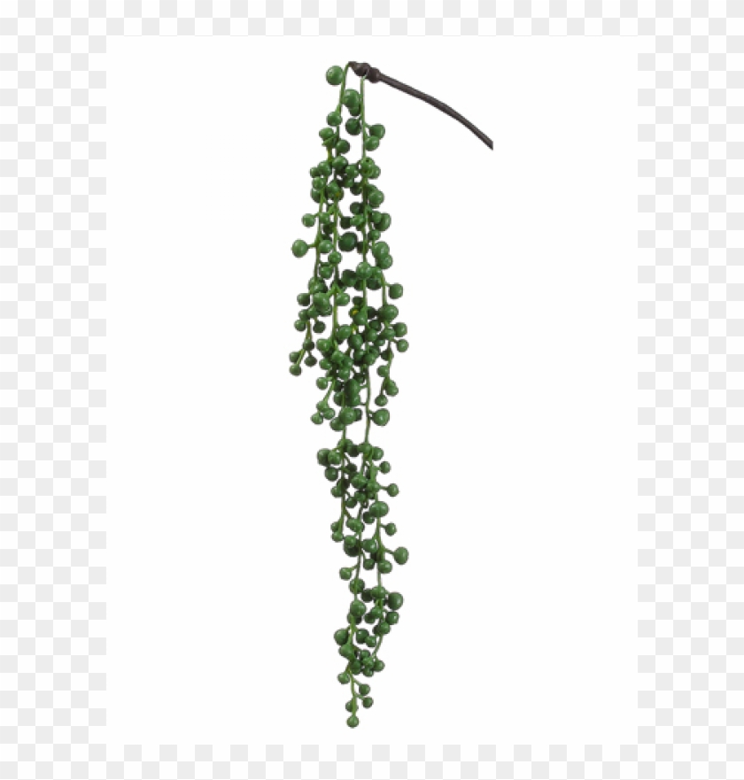 20" String Of Pearls Hanging Pick Green - Artificial String Of Pearls Plant Clipart #782022