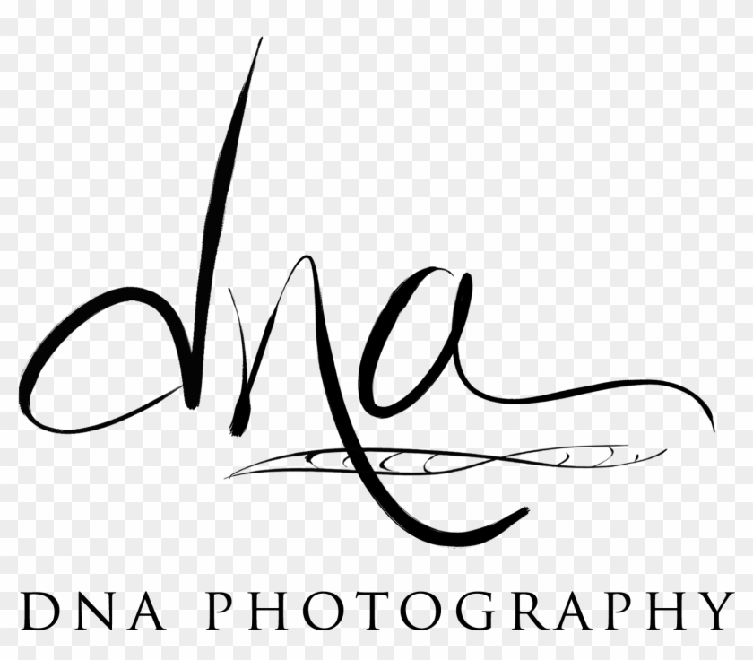 Dna Strand White Transparent - Dna Photography Logo Clipart