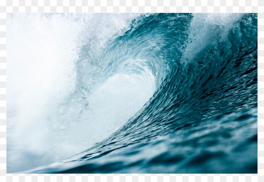 50029 Catch A Wave Clipart