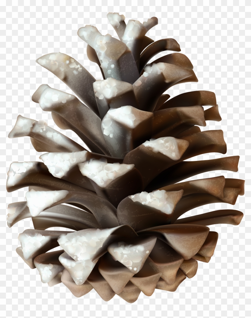 Winter Pinecone Png Clip Art Image - Snow Pine Cone Png Transparent Png #783368