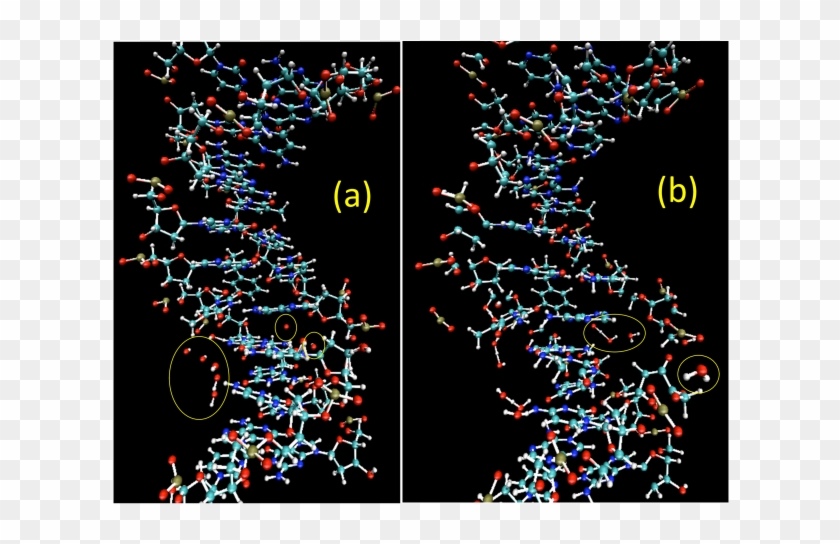 X1 - Graphic Design Clipart
