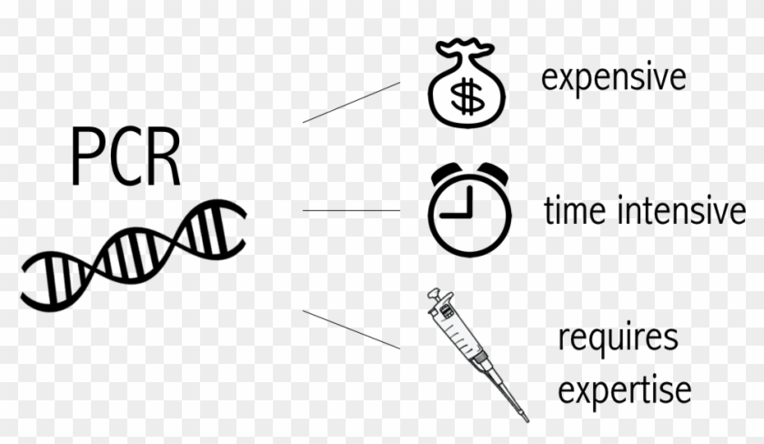 Or Dcas9, Is An Adapted Form Of The Cas9 Protein That Clipart