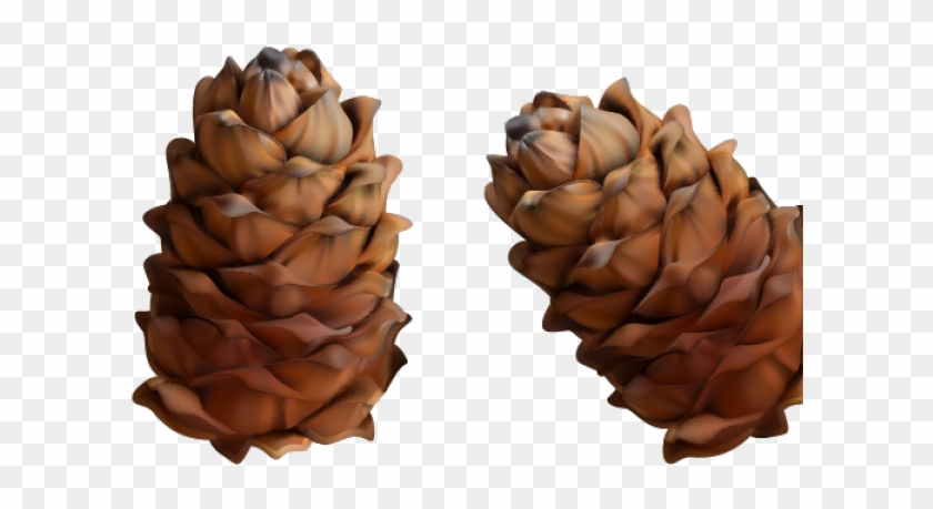 Pine Cone Png Clipart #784027