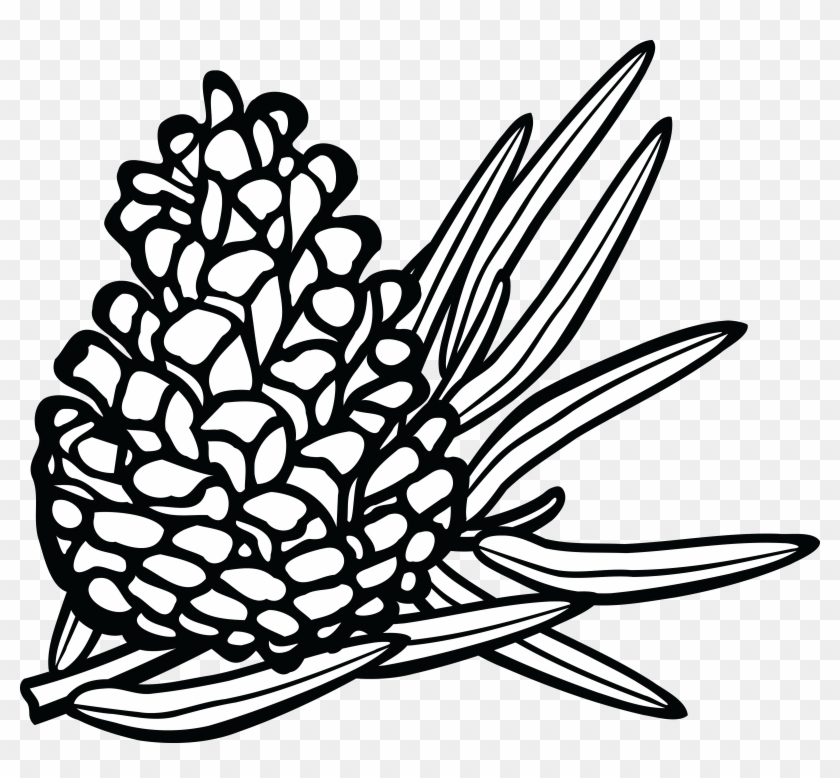 Clip Art Transparent Download Line Drawing At Getdrawings - Coniferous Clipart Black And White - Png Download