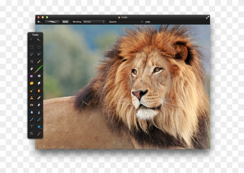 Open An Image That Has An Area Or Object You'd Like - Objects That Are Brown In Color Clipart #784593