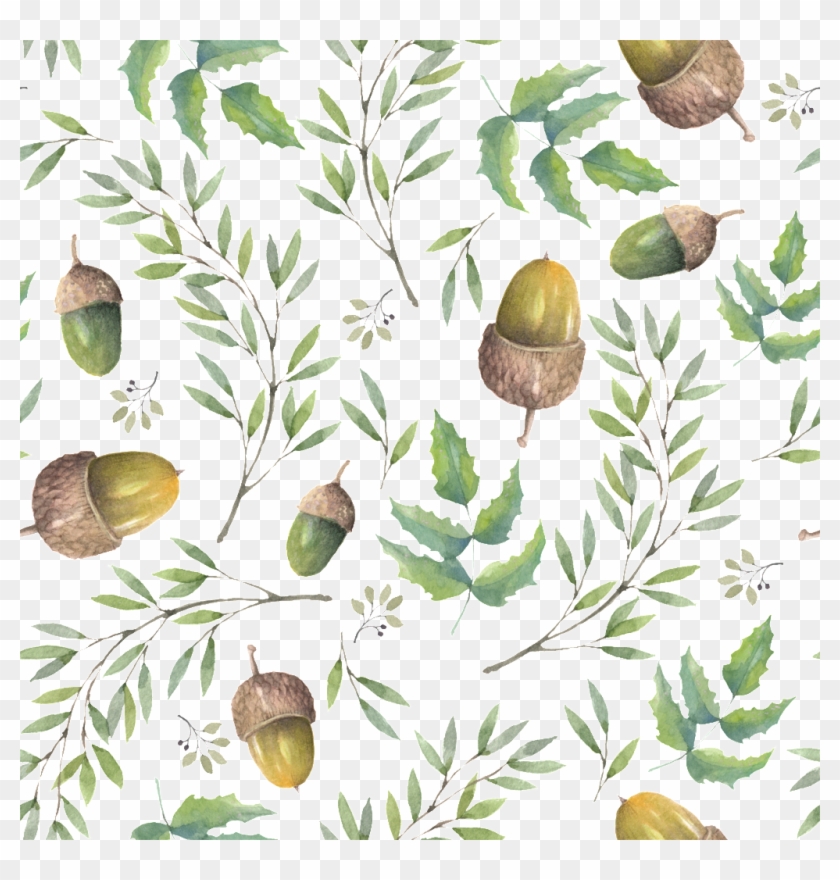 Pine Cone Cartoon Transparent - Portable Network Graphics Clipart #784941