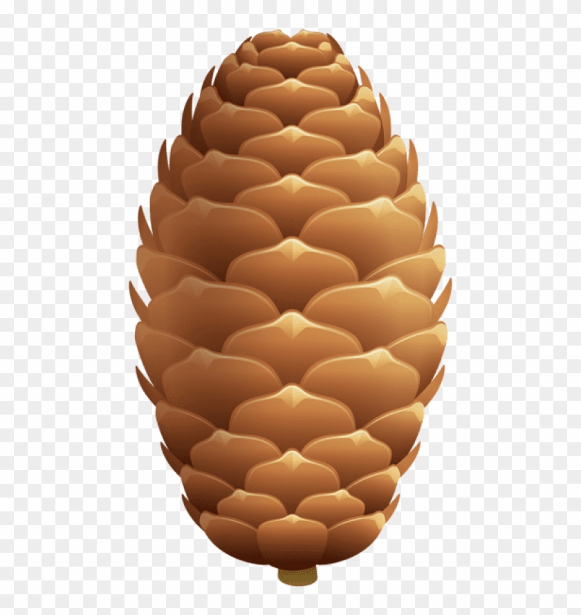 Free Png Pinecone Png Images Transparent Clipart