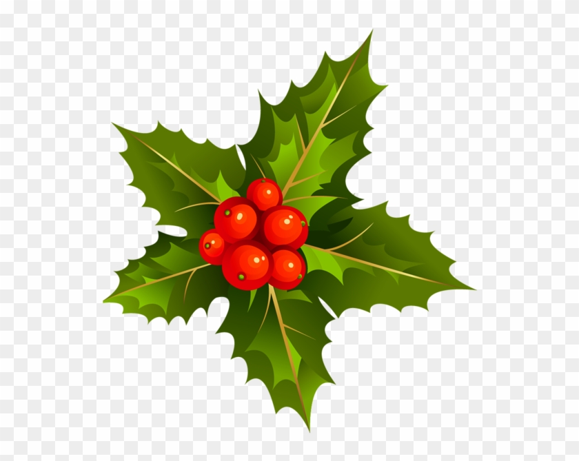 Gallery Free Pictures - Mistletoe Transparent Background Clipart #785143