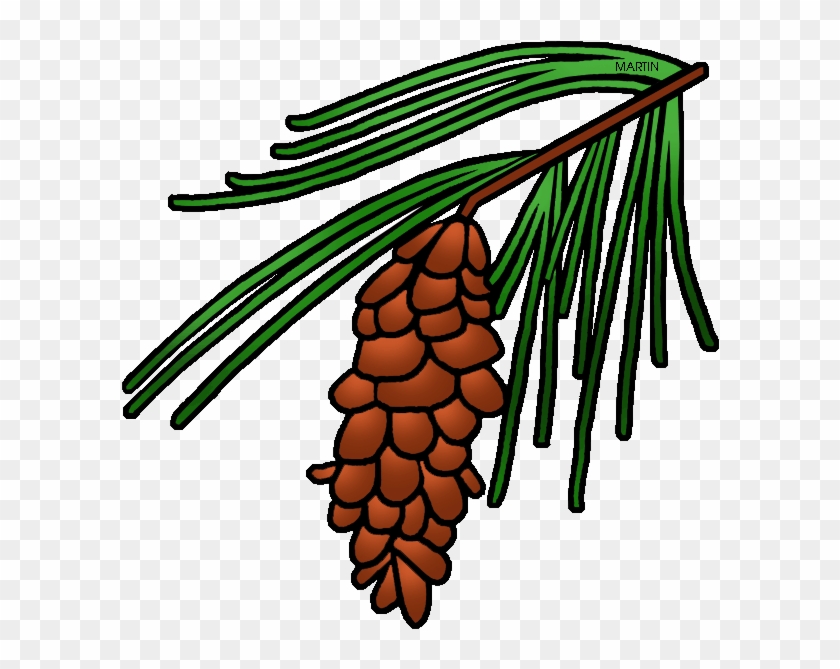 Pine Tree Clipart North Carolina - Pine Cone Tree Clip Art - Png Download