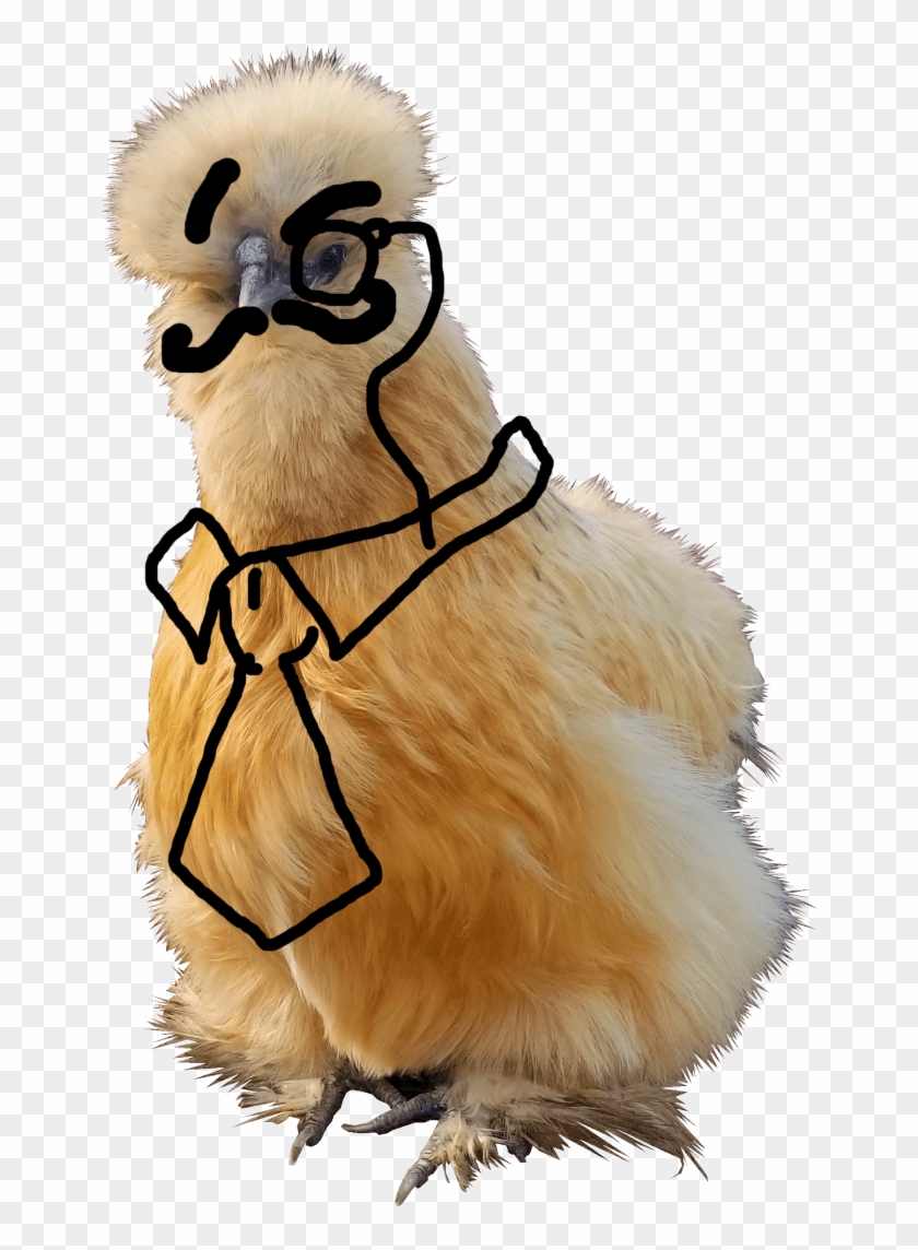 Piper Isolated With Sharpie - Punxsutawney Phil Clipart #787590