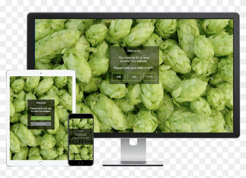 We Recommend Installing The 'basic' Free Version Of - Beer Making Raw Material Clipart