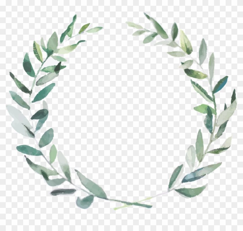 Olive Branches Png - Watercolor Olive Branch Transparent Background Clipart