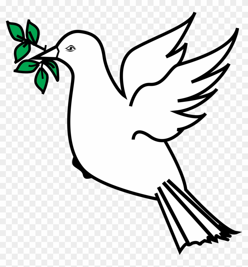 Drawn Dove Olive Branch Drawing - Peace Symbol Olive Branch Clipart #789164