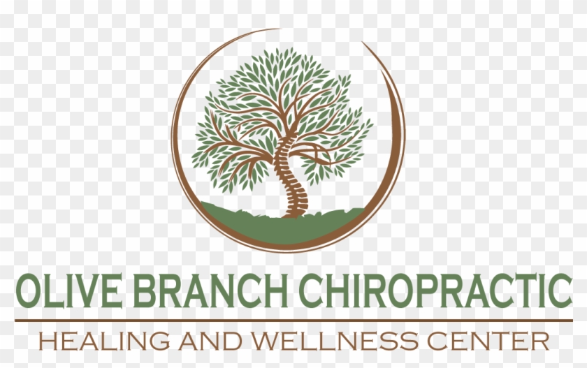 Olive Branch Chiropractic Logo - Pond Pine Clipart #789617