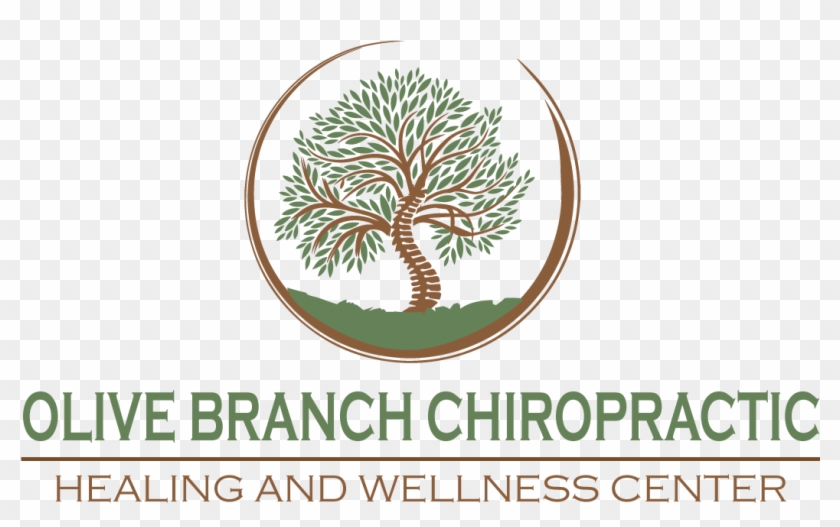 Olive Branch Chiropractic Logo - Pond Pine Clipart