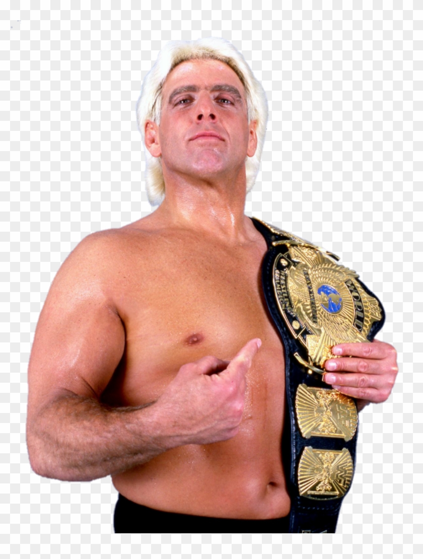 Image Id - - Ric Flair Wwe Champion Png Clipart #790172