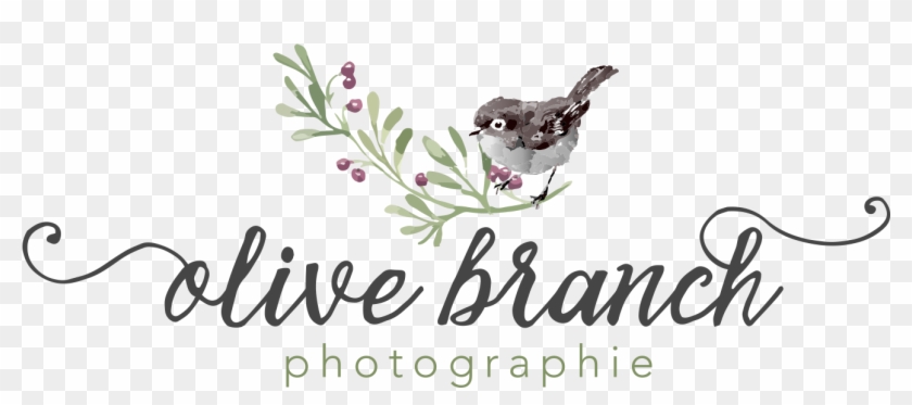 Graphic Design Clipart #790326