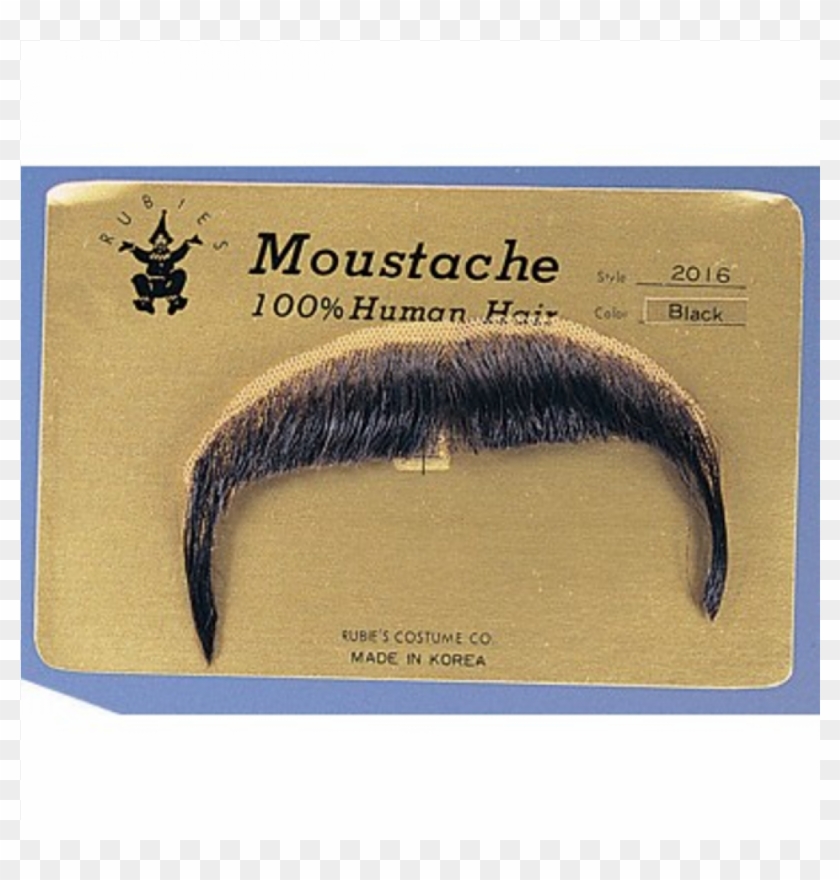 More Views Clipart #790875