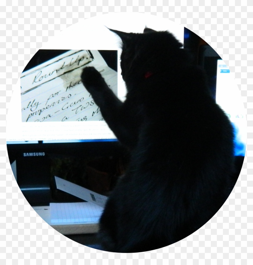 Their Water-resistant Claims - Black Cat Clipart