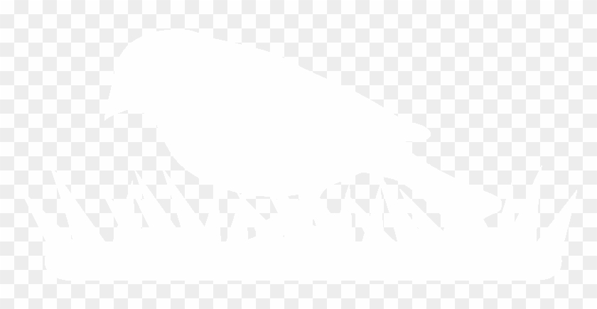 Behavior Ground Forager - Illustration Clipart