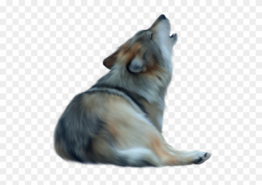 Howling Wolf Png Clipart #795789