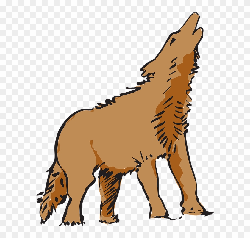 Royalty Free Stock Collection Of Free Howled Clipart - Coyote Clipart Png Transparent Png #796306
