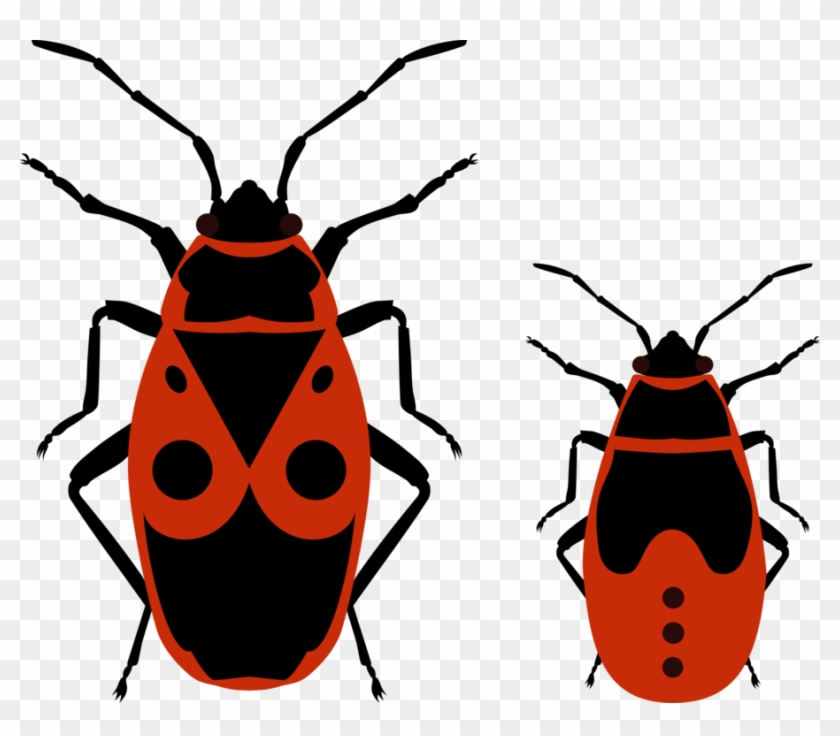 Fireflies And Nymphs - Fire Bug Clipart - Png Download #796976