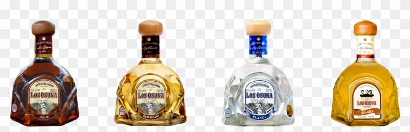 Buy Online - Los Osuna Agave Clipart