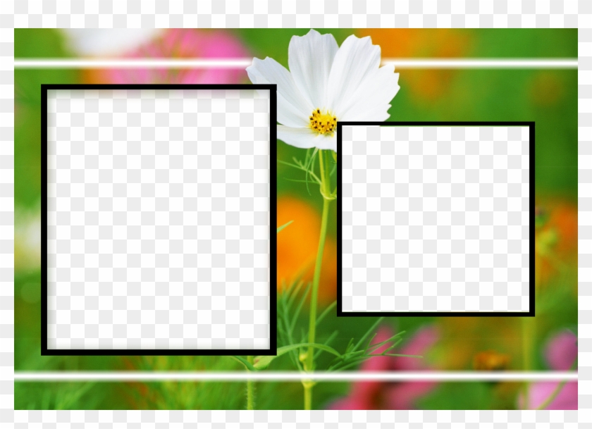 Als Frames Enement Frames Love Frames Marriags Birthday Clipart #80471