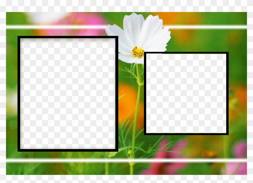 Als Frames Enement Frames Love Frames Marriags Birthday Clipart