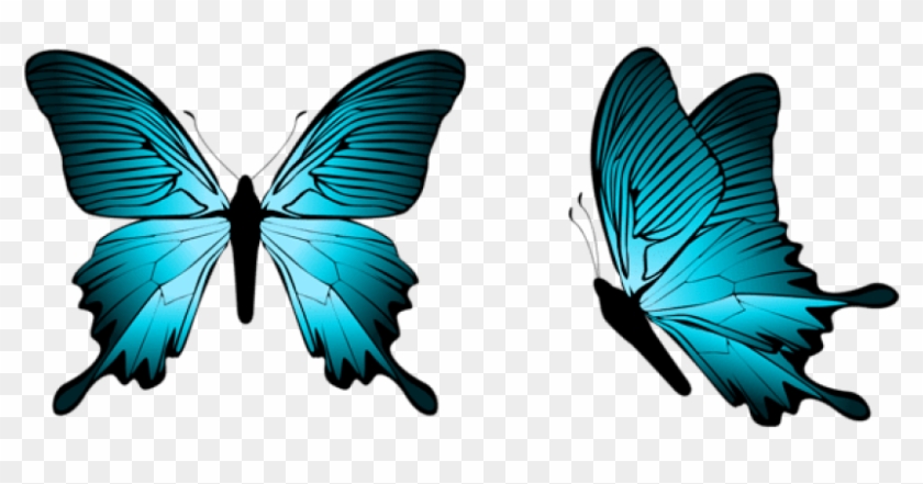Free Png Download Blue Butterfly Clipart Png Photo - Png Format Butterfly Png Transparent Png