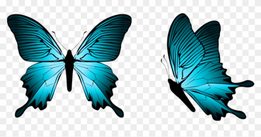Free Png Download Blue Butterfly Clipart Png Photo - Png Format Butterfly Png Transparent Png #80617