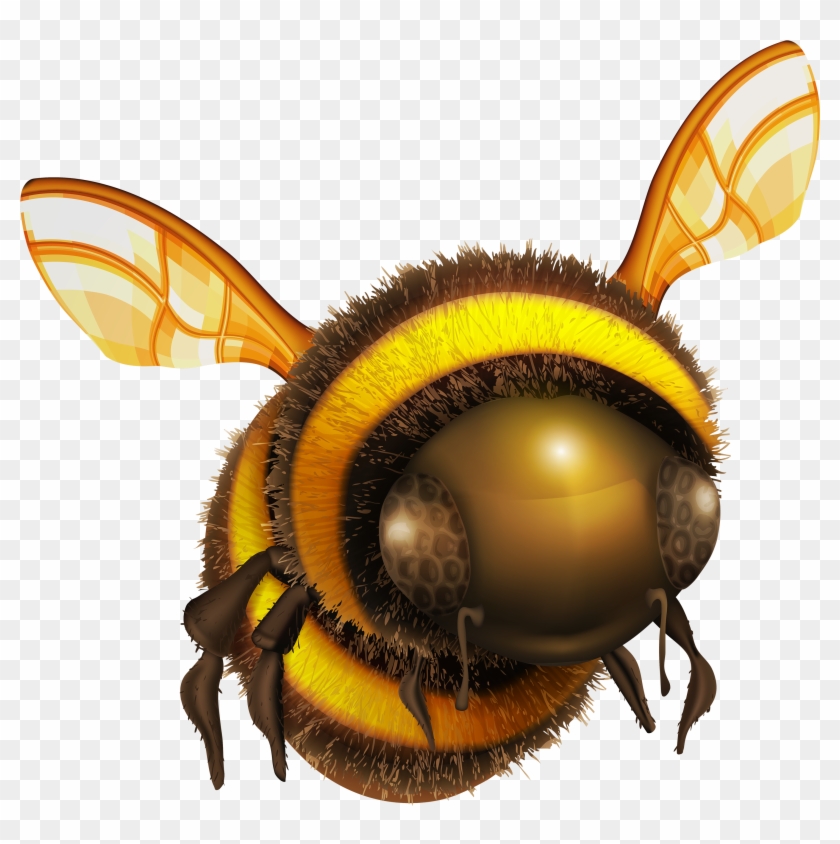 Bee Png Clip Art - Bee Png Transparent Png #80837