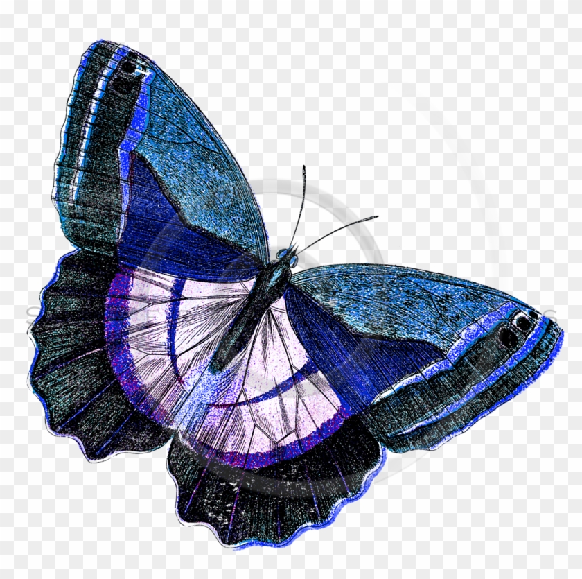 Silver Spiral Arts Clipart