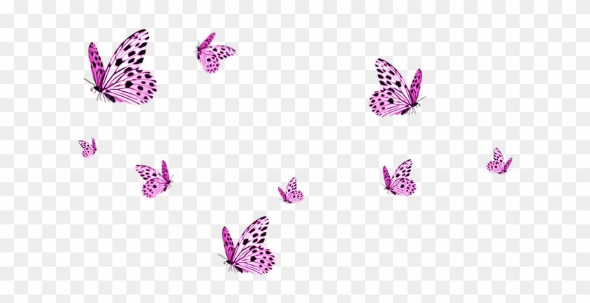 Transparent Background Pink Butterfly Png Clipart