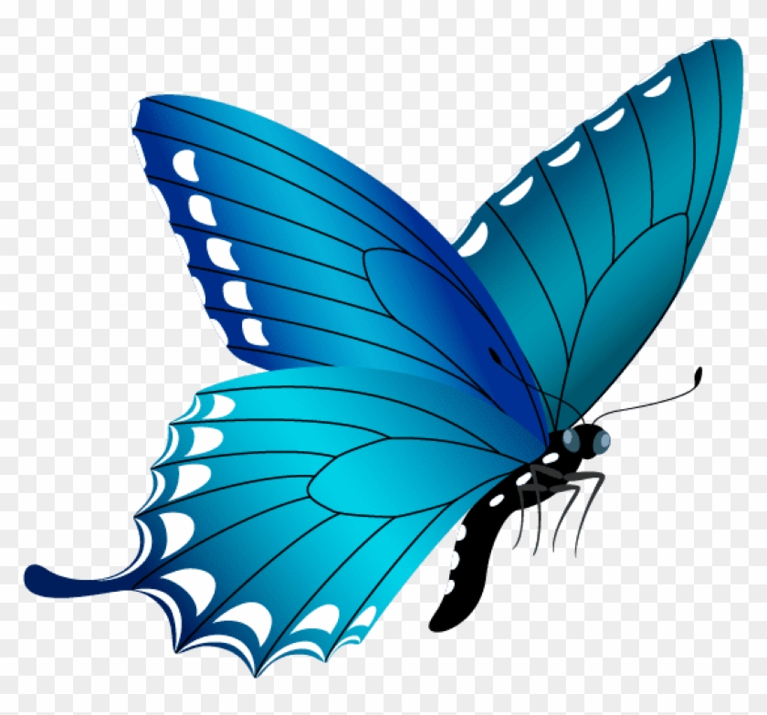 Free Png Download Blue Butterfly Clipart Png Photo - Real Blue Butterfly Png Transparent Png