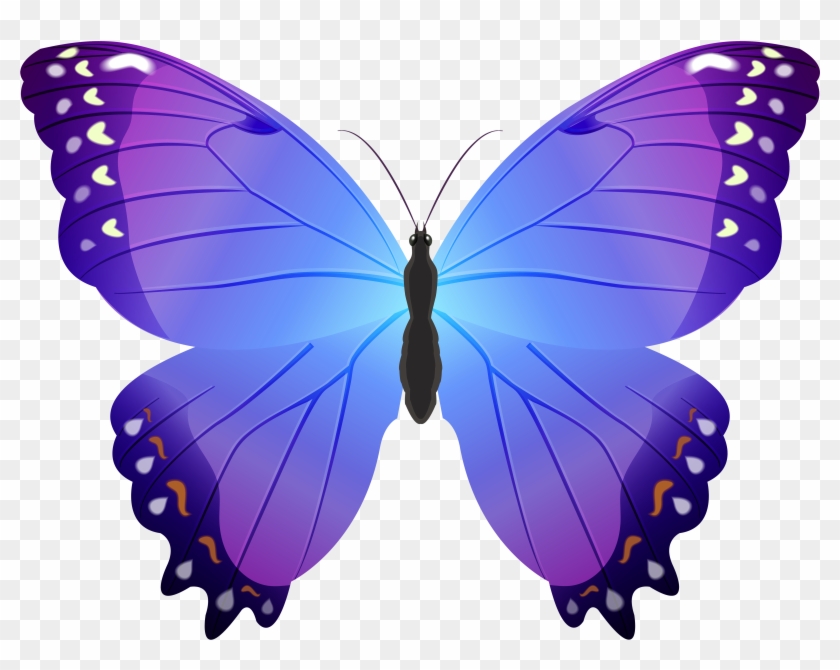 Butterfly Purple Transparent Png Clip Art