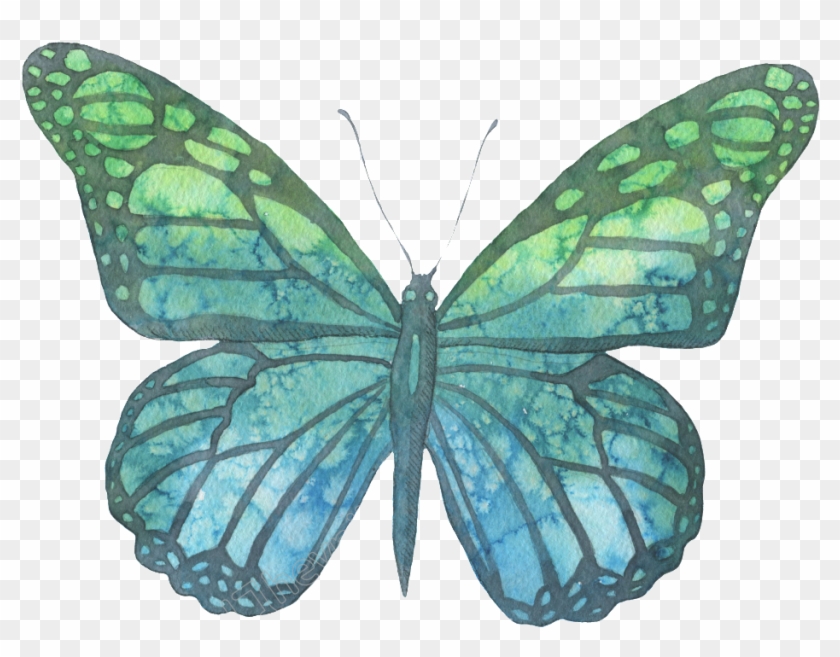 1024 X 788 3 - Watercolor Butterfly Png Transparent Clipart #82215