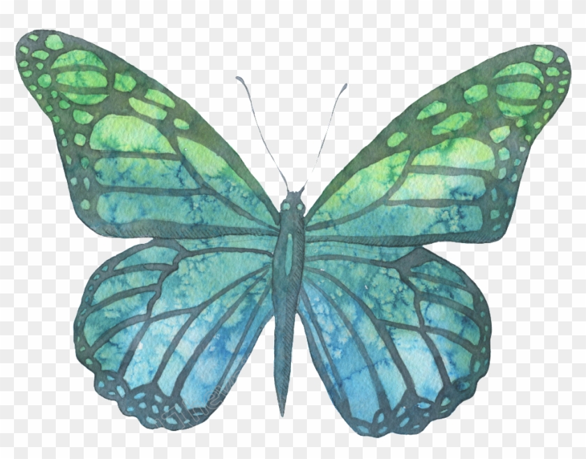 1024 X 788 3 - Watercolor Butterfly Png Transparent Clipart