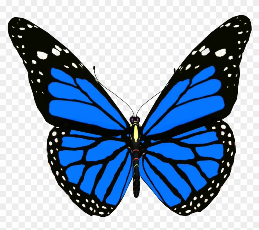 Blue Butterfly Png Pic - Blue Butterfly Png Clipart #82235