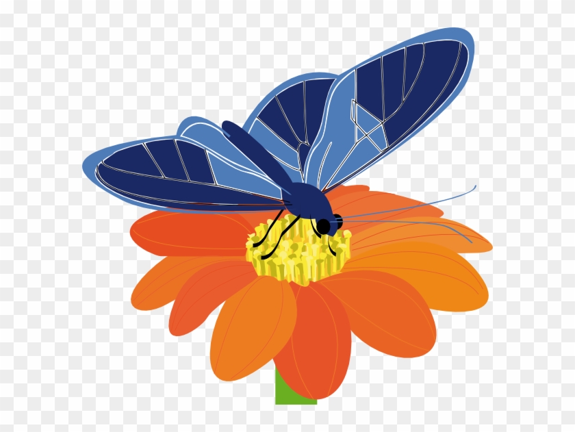 Blue Butterfly With Flower Clip Art At Clker - Butterfly On Flower Clip Art - Png Download