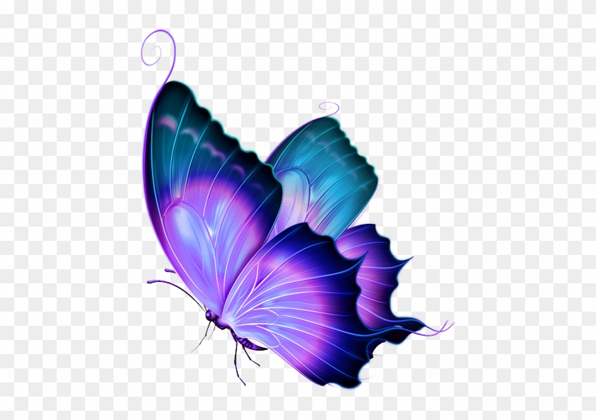 Яндекс - Фотки - - Clipart Butterfly Design, Colorful - Transparent Butterfly - Png Download