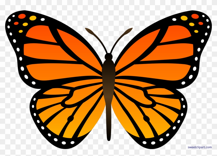 Transparent Blue Butterfly Png Clipart Gallery Yopriceville - Monarch Butterfly Cartoon