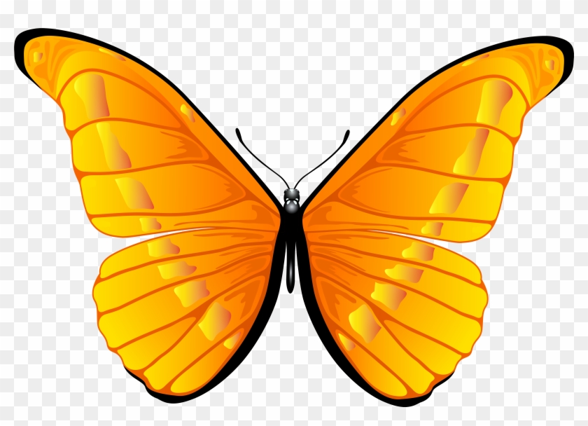 Butterfly Clipart Png - Butterfly Png Transparent Png