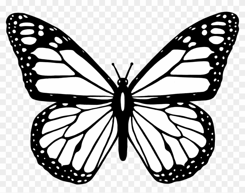 Black And White Butterfly Clipart Images Of - Black And White Butterfly Cartoon - Png Download #82961